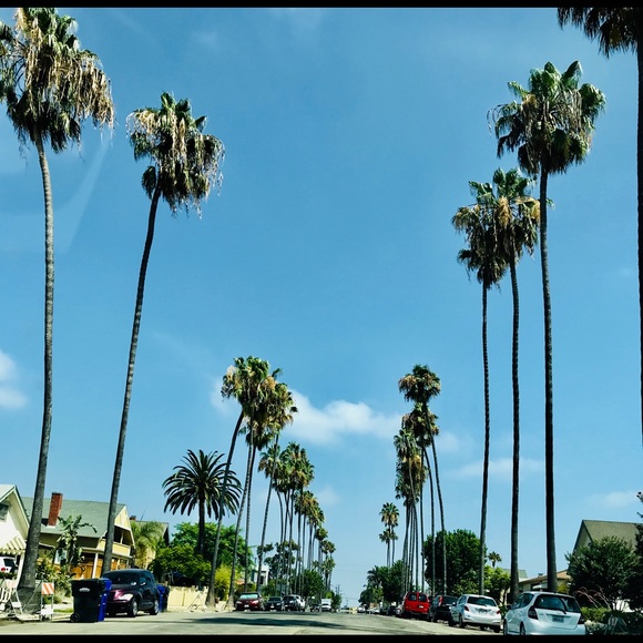 welcome to my closet!🌸eclectic treasures - Picture 2 of 7